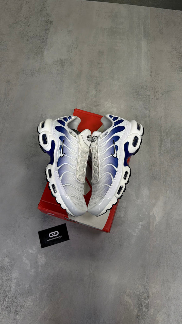 Nike Air Max TNs 'White, Deep Night'