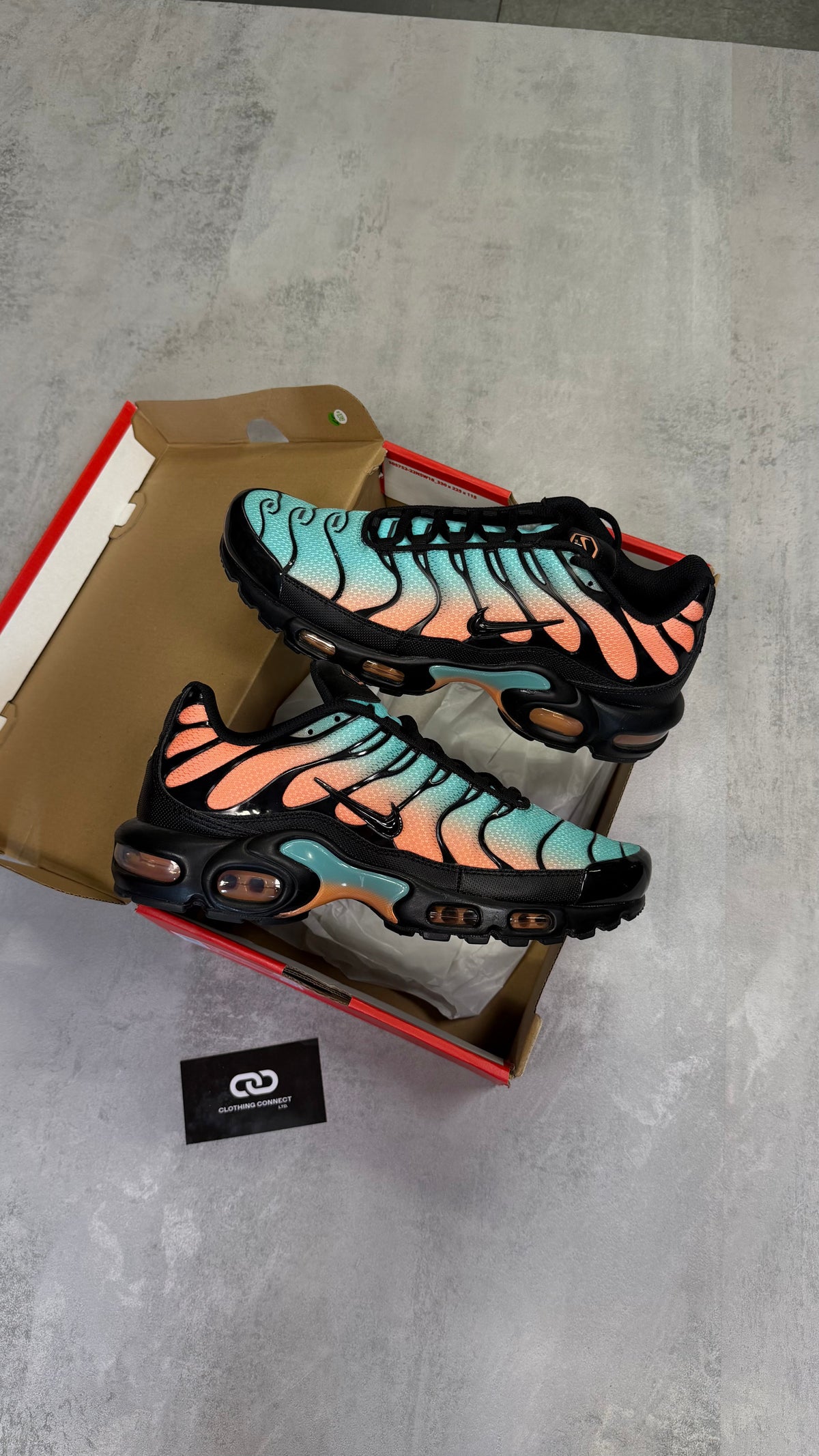Nike Air Max TNs 'SouthBeach'